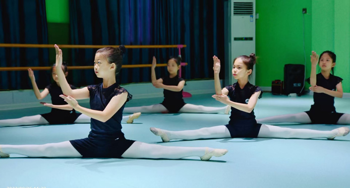 中国古典舞 中国古典舞